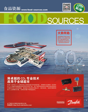 2017��ڶ���.pdf